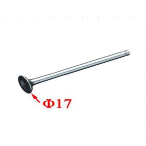 ZT1P58MJ exhaust valve
