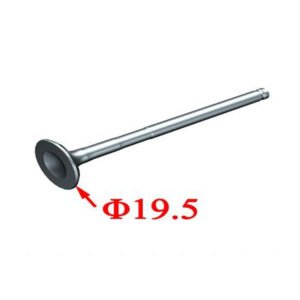 ZT1P58MJ intake valve