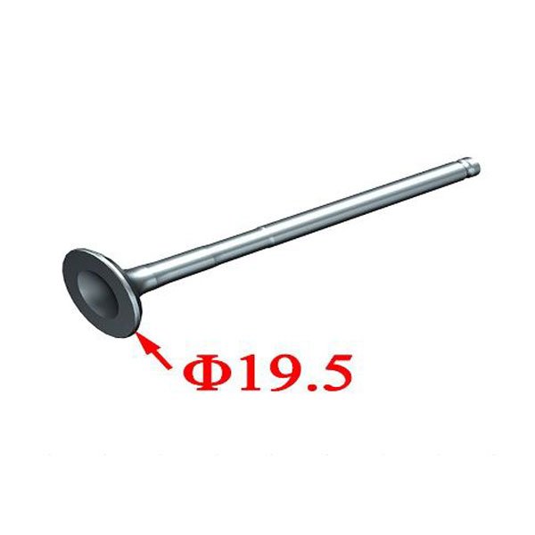 ZT1P58MJ intake valve