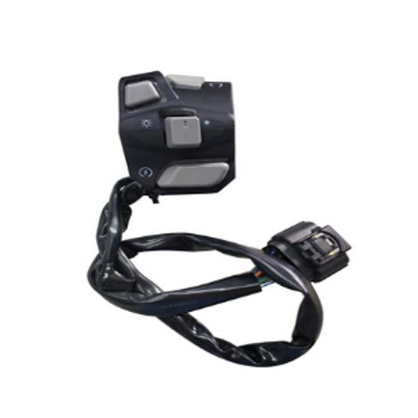 ZT310 V1 Right handle switch